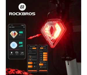 ROCKBROS EESENS SCHILD Bike Schwanz Licht 1000mAH Typ-C Smart Auto Bremse Sensing Licht IPX7 diebstahl Alarm Licht