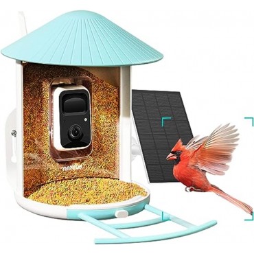 NETVUE Birdfy Lite Smart Vogelfutterstation mit Solarpanel, Vogelbeobachtungskamera, Aufnahme von Vogelvideos und Bewegungserkennung