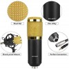 BM800 Mikrofon Kit Computer-Kondensatormikrofon mit Arm Sound Card Pop Filter Windbreak für Gaming Podcasting Live Streaming Musikaufzeichnung